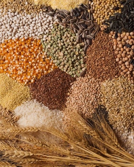 गेहूं से Millets, की ओर: क्या हमारी सेहत अपनी जड़ों की ओर लौटना चाहती है?